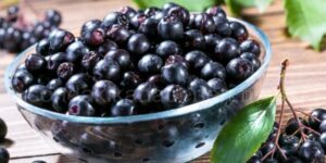 Aronia Nedir
