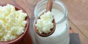 kefir nedir