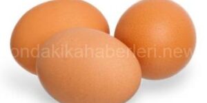 yumurtazararları