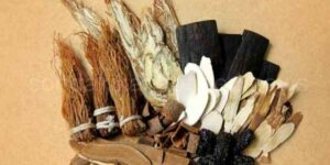 Ginseng Nedir?