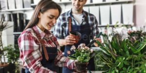 Çiçekçi İzmir En İyi Çiçekçi Tavsiye Top 10 Listesi