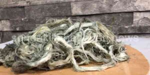 Tüm Türkiye Göğermiş Peynir Yiyecek