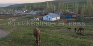 Erzurum Horasan Akçataş Bu Köyde Yıllardır Telefon Çekmiyor