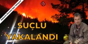 Marmaris’teki Orman Yangınını Başlatan Suçlu Yakalandı