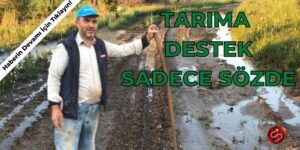 Son Çaremiz Artık CİMER