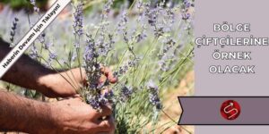 Harran Üniversitesi’nden Örnek Proje