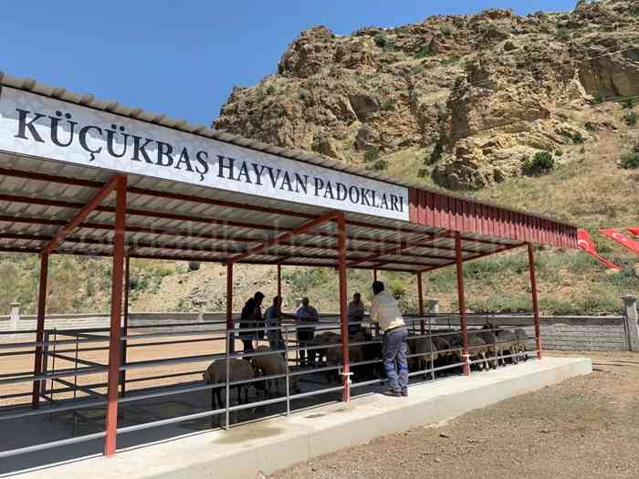 Küçükbaş Hayvan Padokları