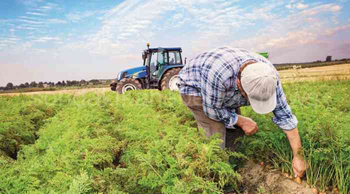 “Yaşlıyım, Çalışamıyorum. 45 Bin Lirayı Nasıl Ödeyeceğim”