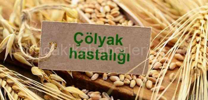 yedi yildir kizim colyak hastasi