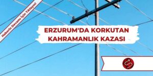 İneği Kurtarmak İsterken Akıma Kapıldı