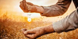 Bakan Kirişçi Erzurum’da