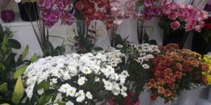 Çiçekçi İstanbul Anadolu En İyi Çiçekçiler Tavsiye Top 10 Listesi