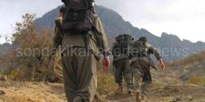 Erzurum'da Terör Operasyonu