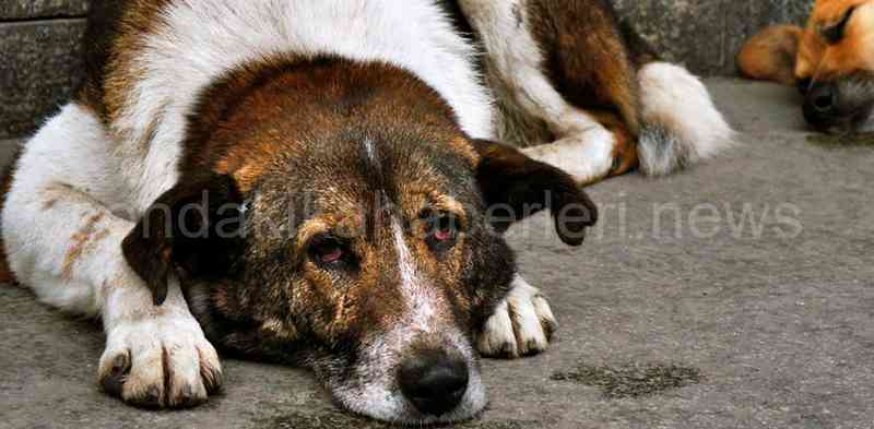 CHP ve DEVA Partisi İl Başkanları Olay Yerine Gitti