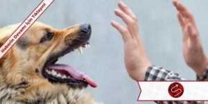 Kuduz Tanısı Konan Çocuğun Babası, “Evlat Acısı Çok Ağır”