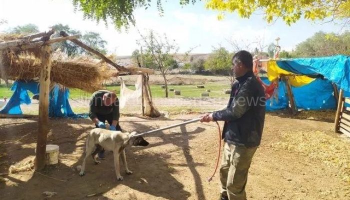 “Önlem Alınmalı Bu Acıyı Kimse Yaşamamalı”