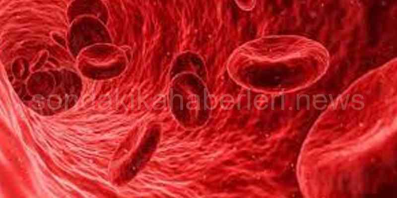 Laboratuvarda geliştirilen kan hücresi