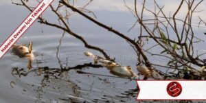 Adana’da Kimyasal Atık Sorunu Çözülmüyor