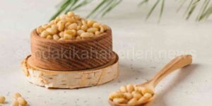 Çam Fıstığının Nedir Faydaları Nelerdir?