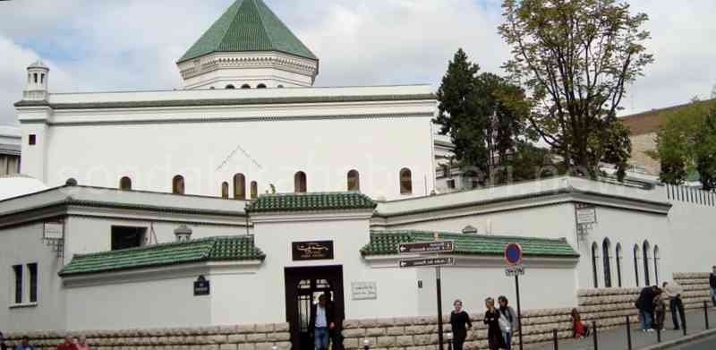 göçmenlere ve camilere yönelik şiddet eylemlerine bulunmak 