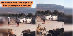 Pişkinlikleri ile Herkesi Hayrete Düşürdüler