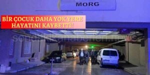 Van’da Köpek Saldırısına Uğrayan Emir Hayatını Kaybetti