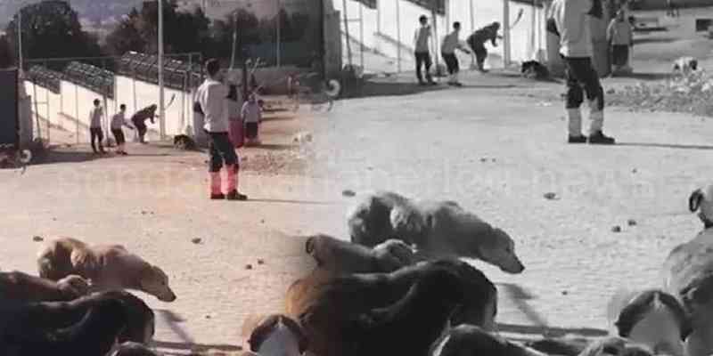 Zanlı Savunmaları Bu Kadarda Olmaz Dedirtti