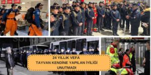 Tayvan Sıra Bizde Dedi Arama Kurtarma Ekibi Gönderdi