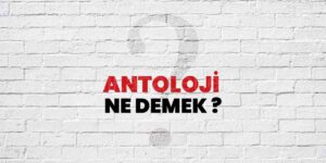 Antoloji Nedir?
