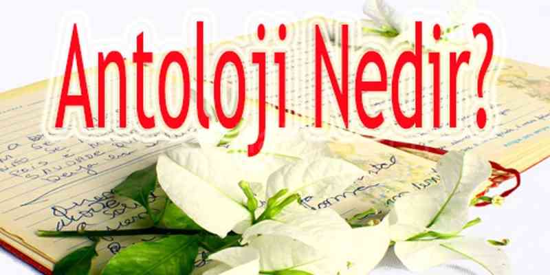 Antoloji Nedir