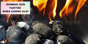 Sobayı Yakmak İsterken Yanarak Hayatını Kaybetti