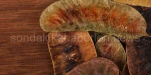 Açlık Otu Nedir? Zayıflama İpuçları