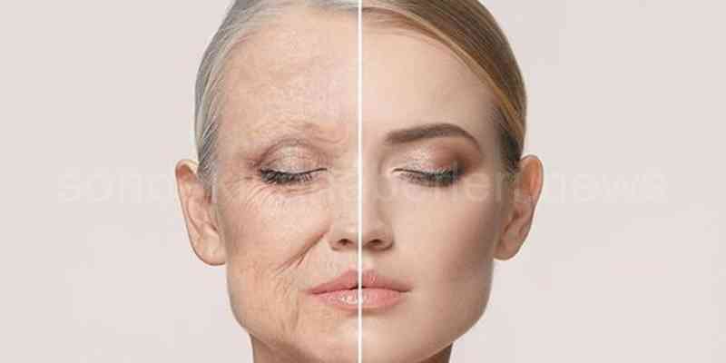 Endopeel Zararları Endopeel Nedir 3 Uygulama Alanı? 8 Endopeel Etkisi Nedir