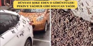 Kıyameti Hatırlattı: Çin’in Başkenti Pekin’e Solucan Yağdı