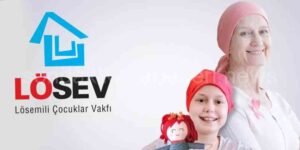 LÖSEV Nedir?