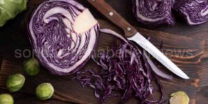 Mor Lahana Turşusu Tarifi