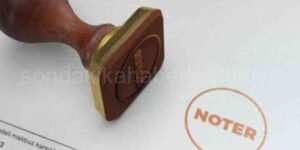 Noter Nedir?