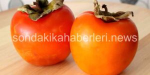 Cennet Hurması Nedir? Cennet Hurmasının Faydaları Ve Zararları Nelerdir?