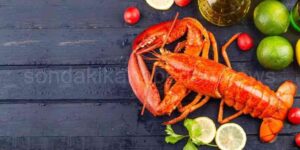 Istakoz Nedir?