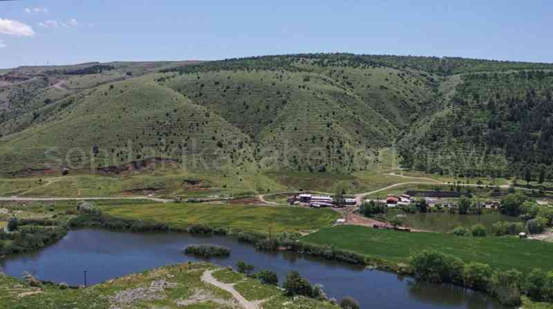 Ankara Yeşile Boyandı