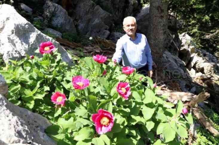 Burası El Değmemiş Bir Doğa