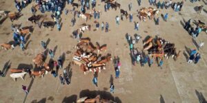 Kurban Kesim Şartlarına Uymayanlara Ceza