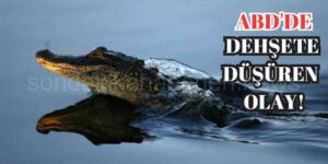 ABD'de Timsahın Saldırdığı Kadın Hayatını Kaybetti