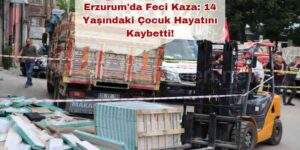 Erzurum'da Feci Kaza
