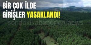 Hatay, Kastamonu ve Denizli'de Ormanlık Alanlara Girişler Yasaklandı