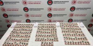 Sabiha Gökçen Havalimanında Kaçak Canlı Arı Ele Geçirildi