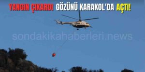 Seydikemer'de Yangın Çıkardığı İddiasıyla Gözaltına Alındı!