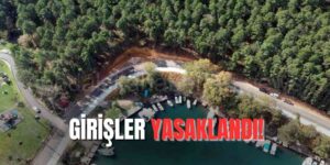 Sinop'ta Ormanlara Girişler Yasaklandı