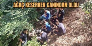 Bartın'da Üzerine Ağaç Düşen Orman İşçisi Hayatını Kaybetti