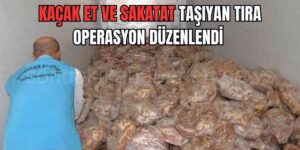 Diyarbakır'da 5 Ton Kaçak Et Ve Sakatat Ele Geçirildi